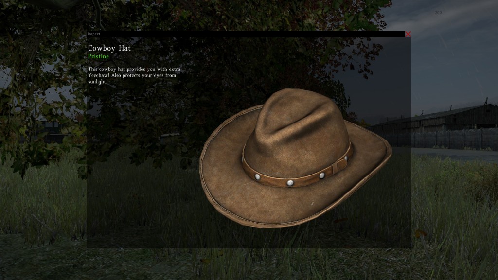 DayZ Standalone Cowboy Hat