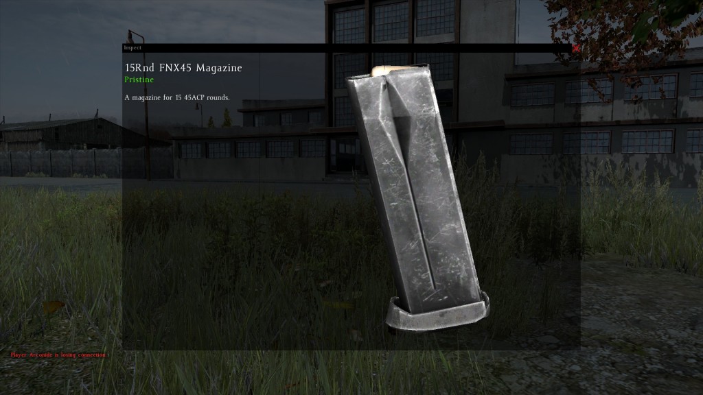 DayZ Standalone FNX Magazin