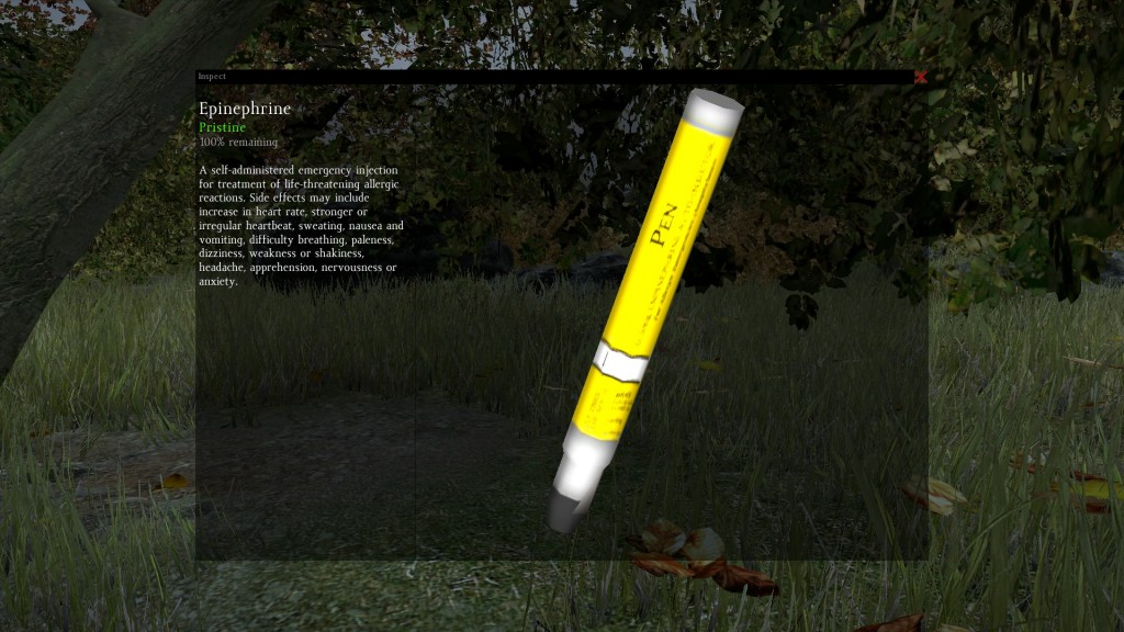 DayZ Standalone Epinephrine