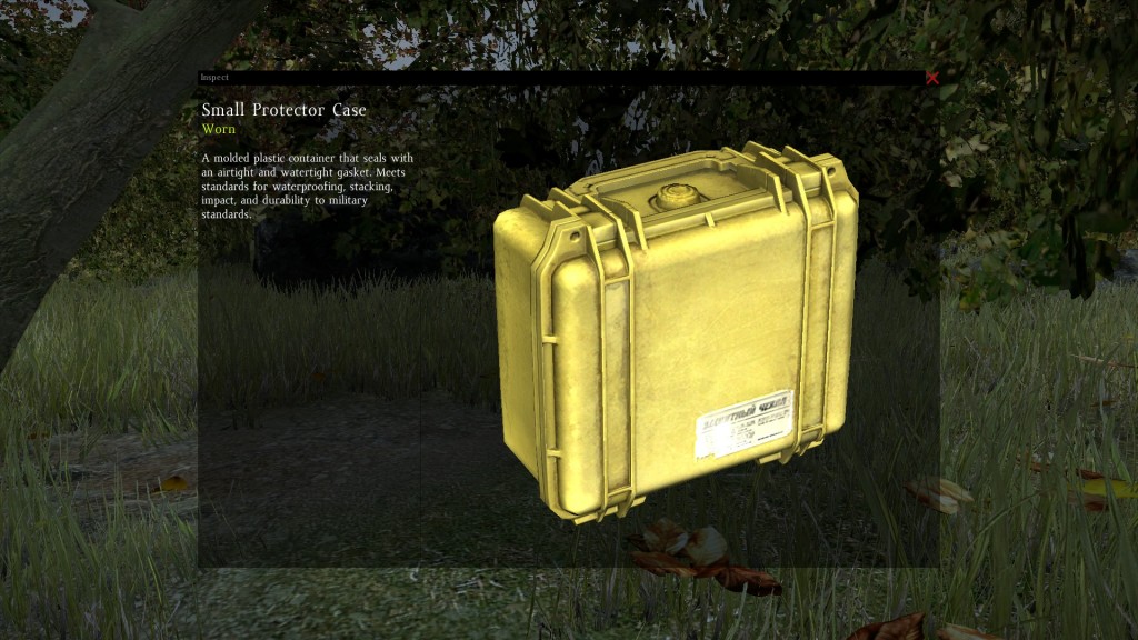 DayZ Standalone Small Protector Case