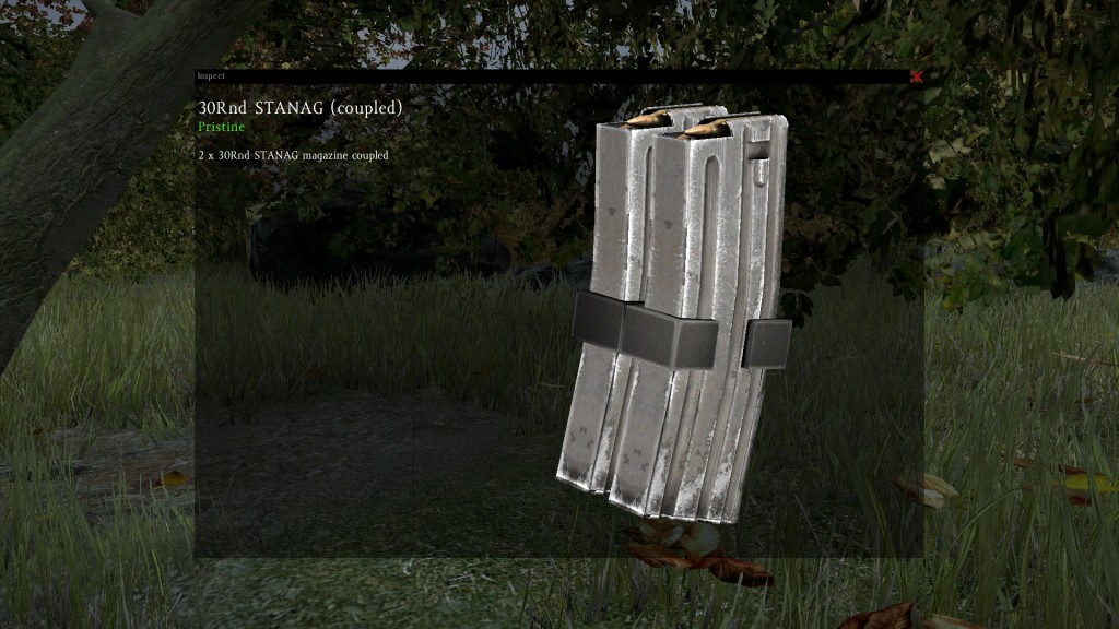 DayZ Standalone 60 rounds Magazin