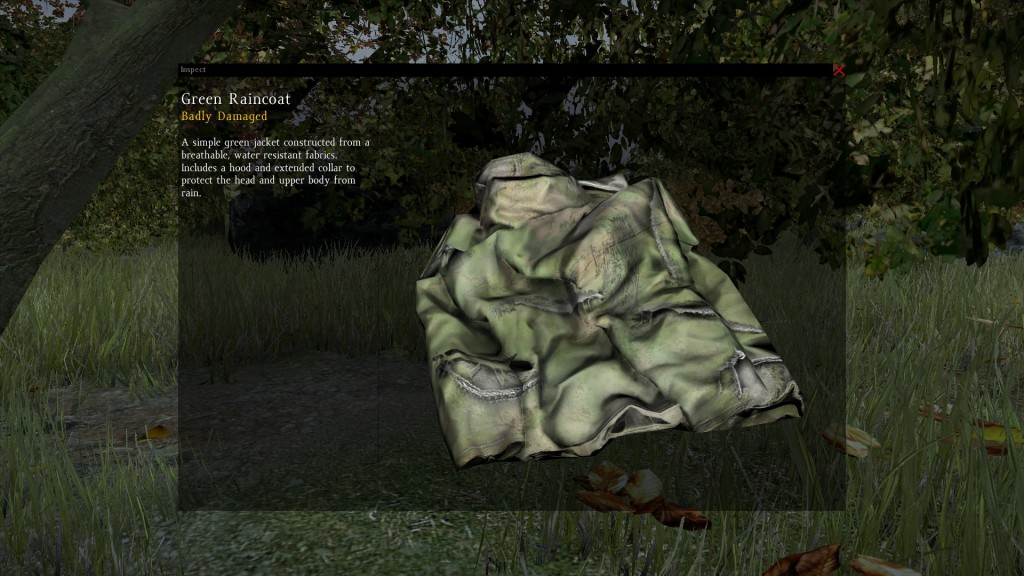 DayZ Standalone Green Raincoat