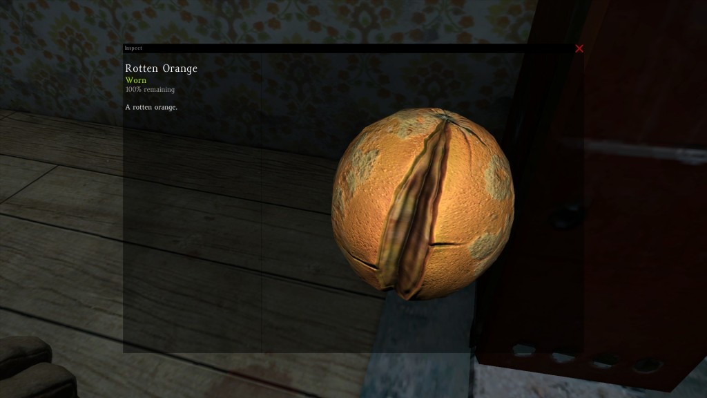 DayZ Standalone Rotten Orange