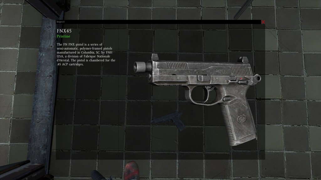 DayZ Standalone FNX