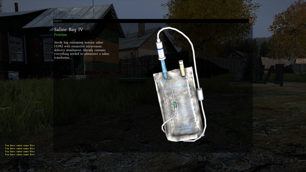 DayZ Standalone Saline Bag IV