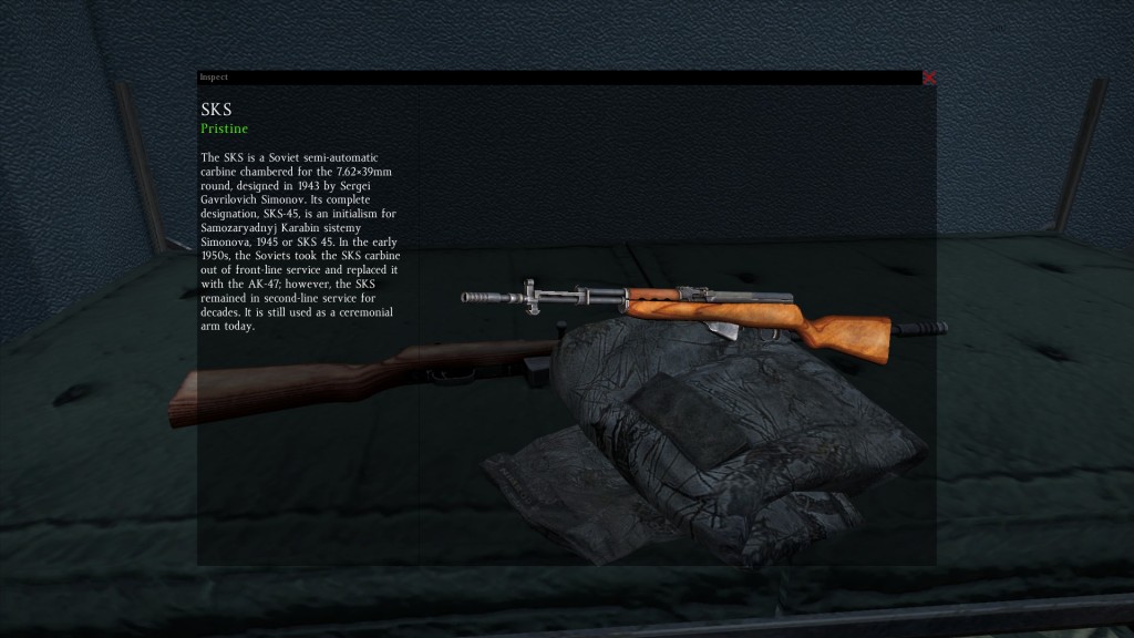 DayZ Standalone SKS