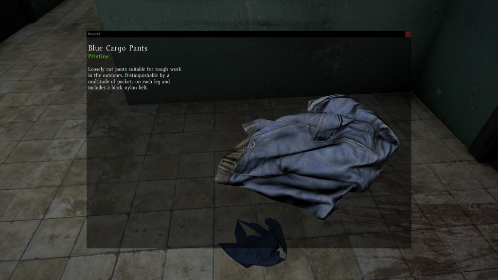 DayZ Standalone Blue Cargo Pants