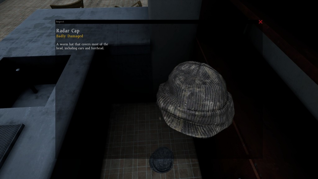 DayZ Standalone Radar Cap