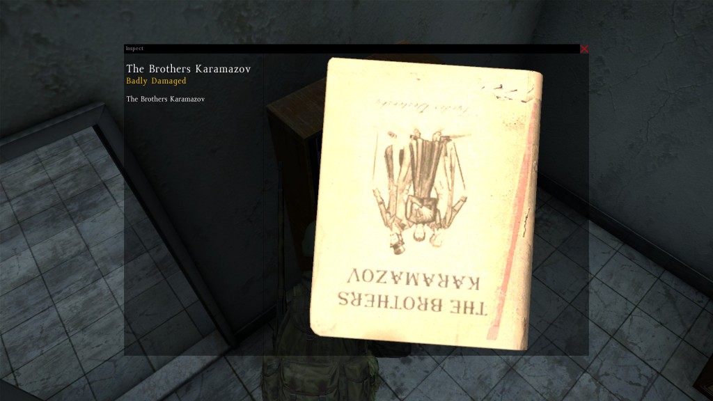 DayZ Standalone Book The Brothers Karamazov