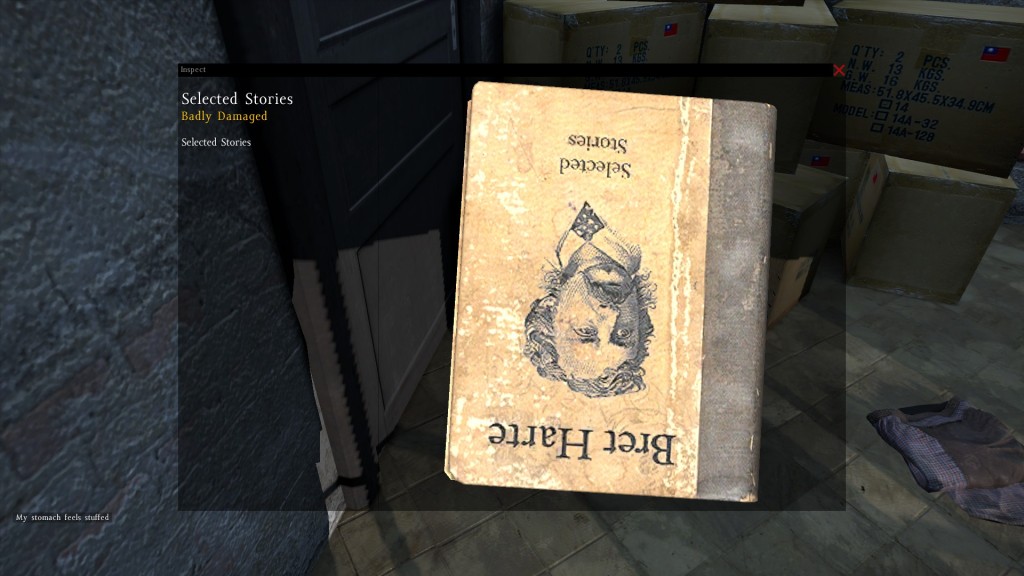 DayZ Standalone Book Selected Stories