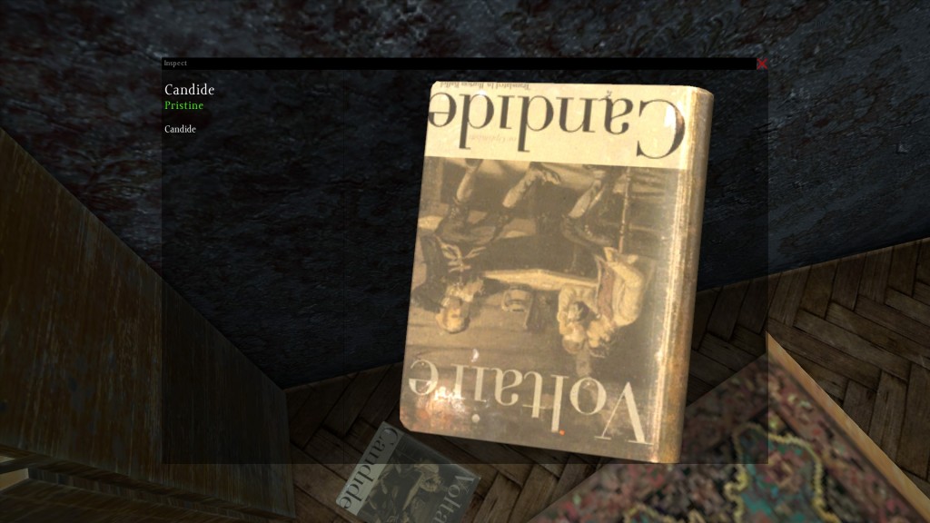 DayZ Standalone Book Candide