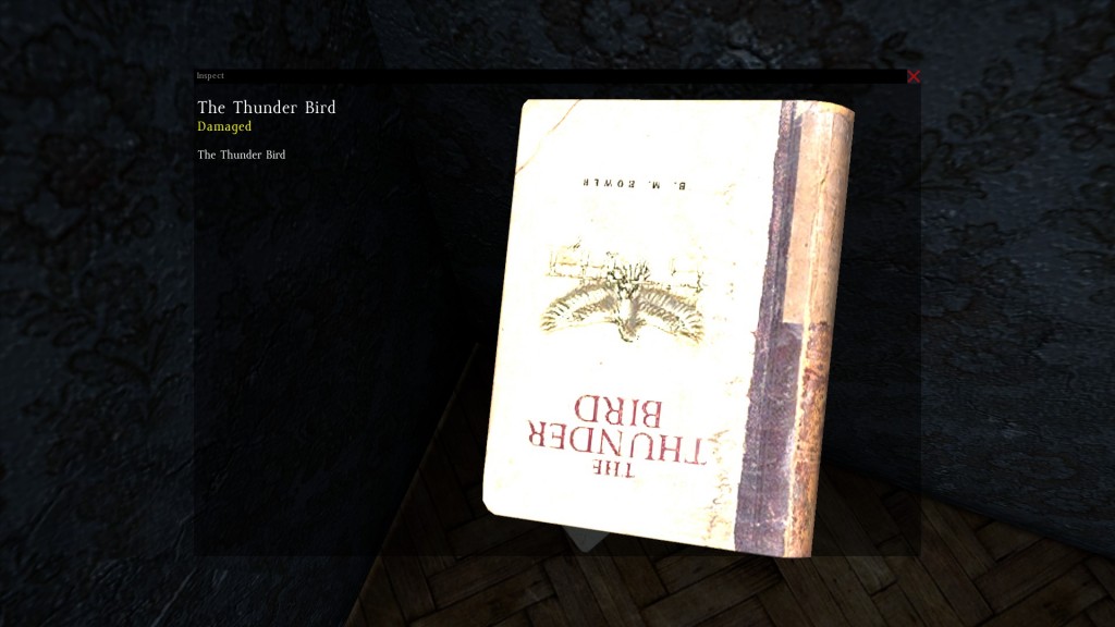 DayZ Standalone Book The Thunder Bird