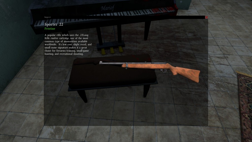 DayZ Standalone Sporter 22