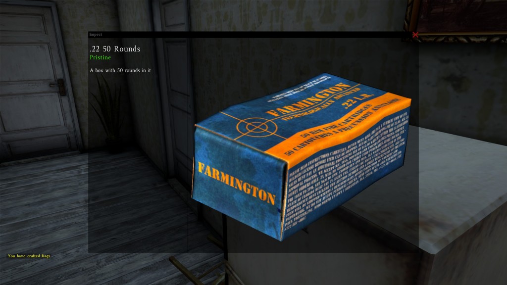 DayZ Standalone .22 50 Rounds