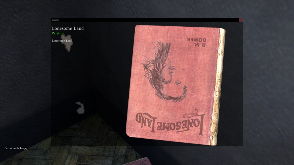 DayZ Standalone Book Lonesome Land