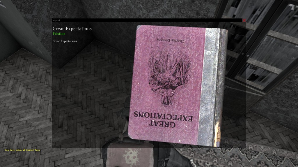 DayZ Standalone Book Great Expectations