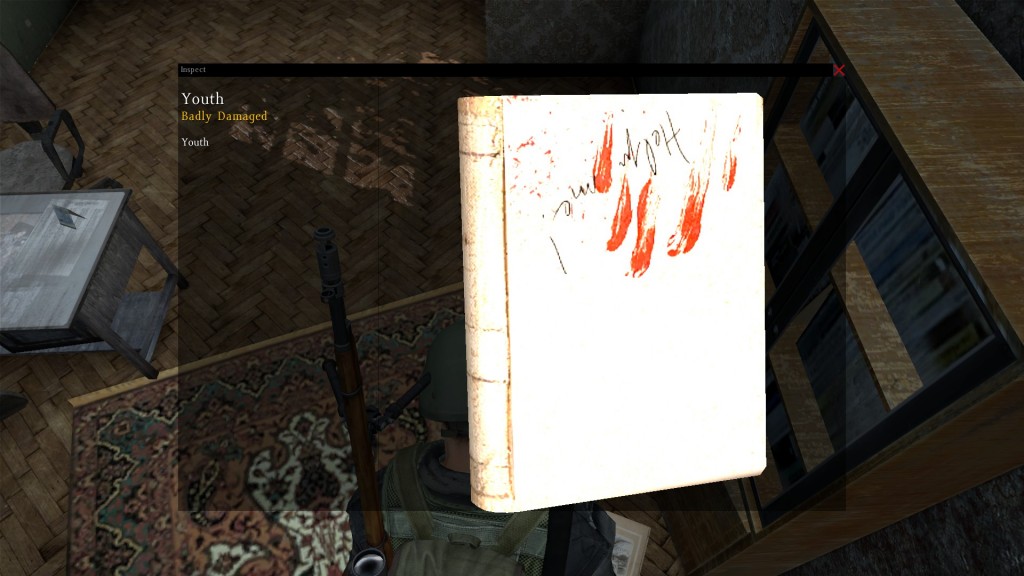 DayZ Standalone Book Youth