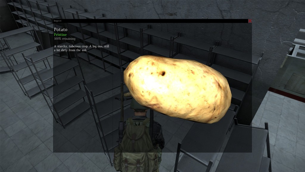 DayZ Standalone Potato