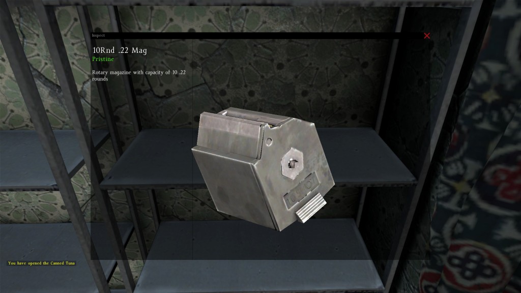 DayZ Standalone 10 Rnd .22 Mag