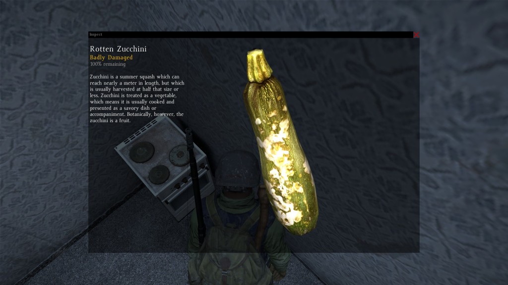 DayZ Standalone Rotton Zucchini