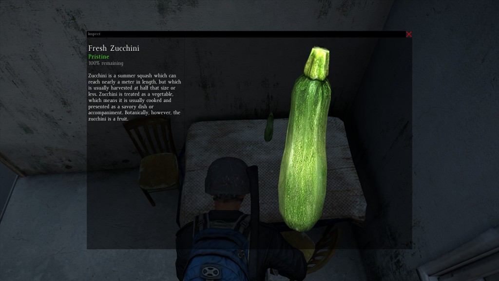 DayZ Standalone Fresh Zucchini