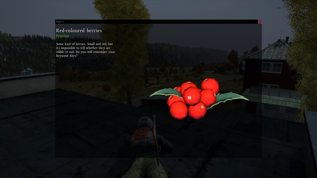 DayZ Standalone Red-coloured berries