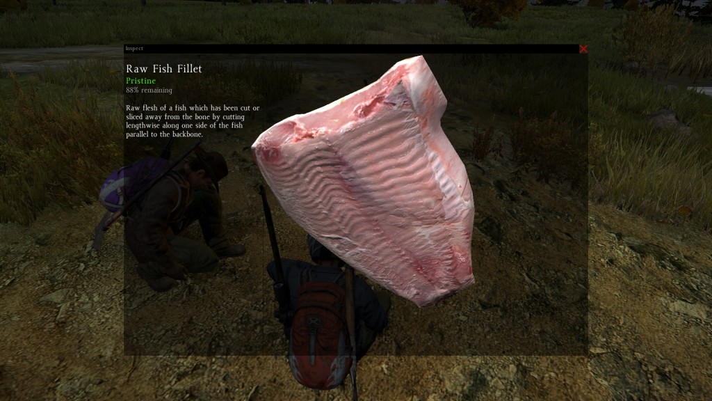 DayZ Standalone Raw Fish Fillet