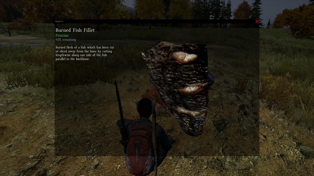 DayZ Standalone Burned Fish Fillet