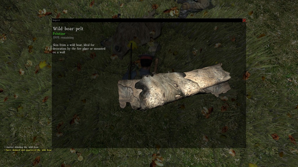 DayZ Standalone - Wild boar pelt